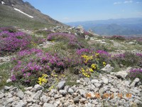 /album/resim-galerisi/yemliha7-jpg/