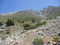 /album/resim-galerisi/yemliha19-jpg/