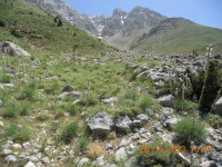 /album/resim-galerisi/yemliha21-jpg/