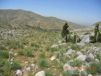/album/resim-galerisi/yemliha24-jpg/